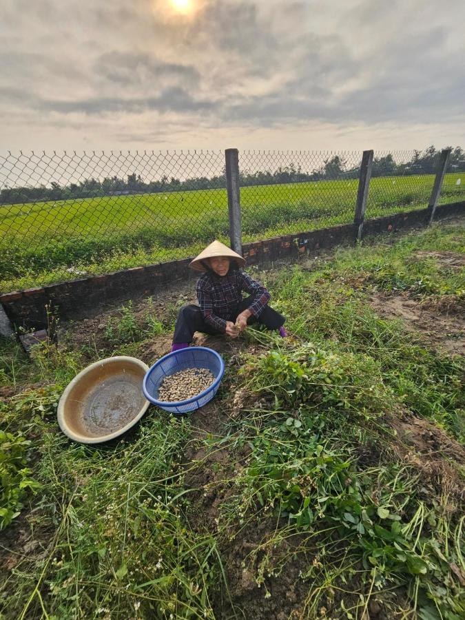 My Anh Boutique Villa ฮอยอัน ภายนอก รูปภาพ